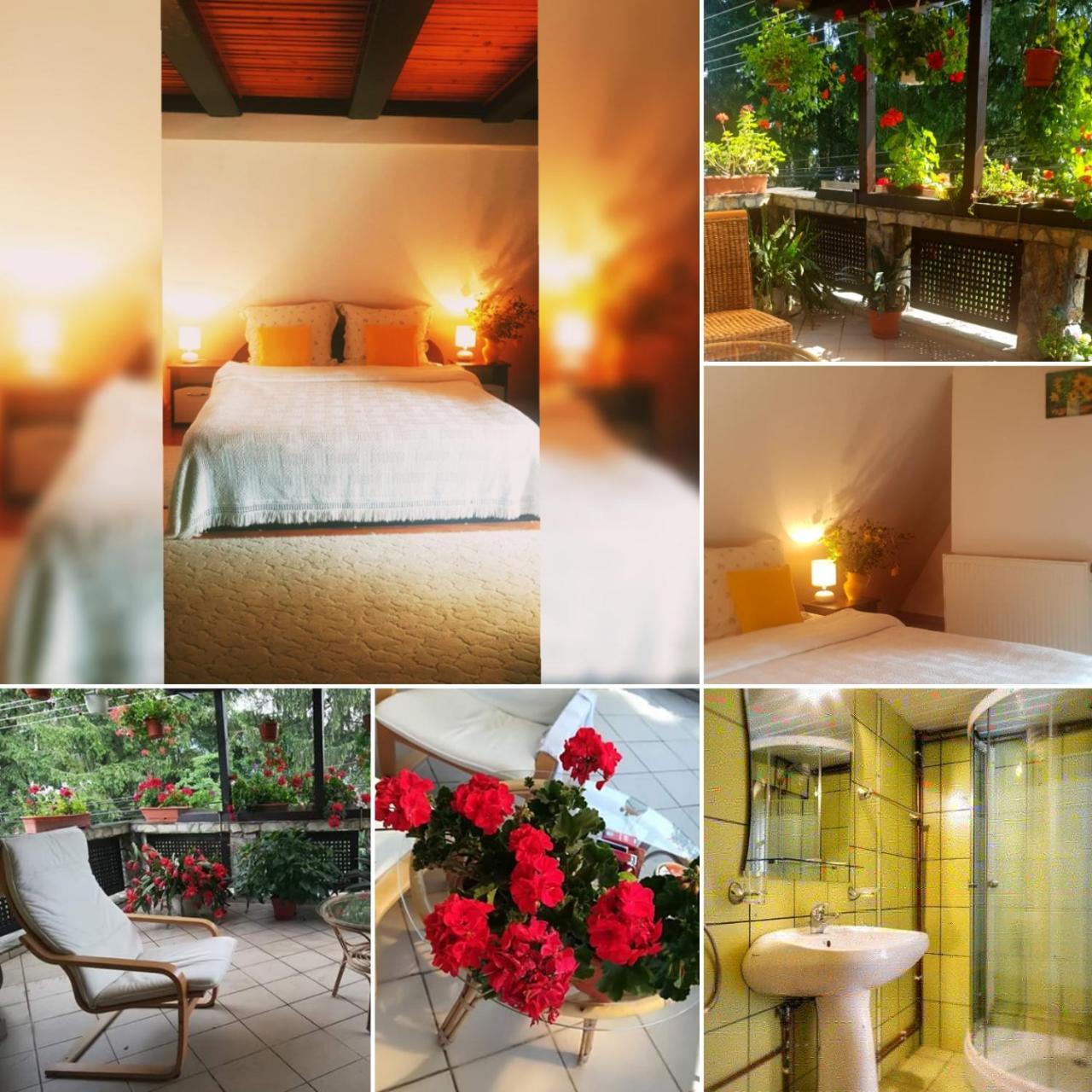 Pension Casa Aurora วามา ภายนอก รูปภาพ